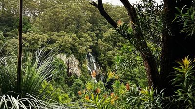 Hoffman Drilling appeals Gold Coast Council rejection of water extraction near Springbrook National Park