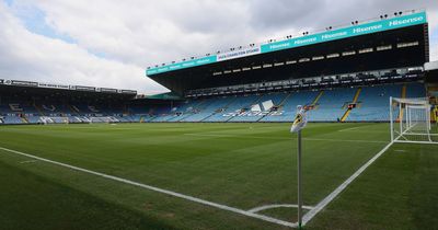 Leeds United fans given chance to abseil down Elland Road in special fundraising event