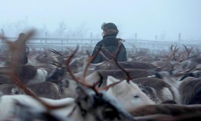 Radji review – moving depiction of Sami herders and their reindeer