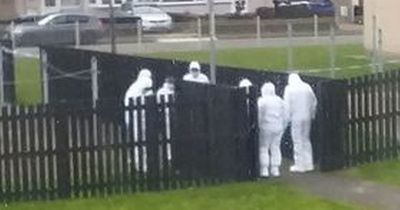 Forensics scour area in Lanarkshire after person dies having been found seriously injured