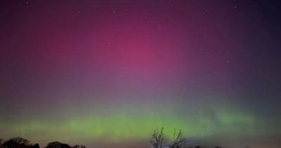 Glaswegians awed by stunning Northern Lights display set to return again tonight