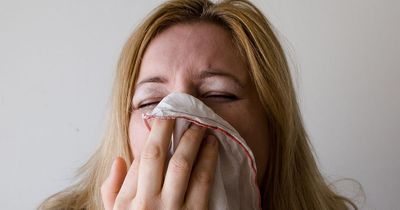 Why hay fever season started early this year, and what you can do about it