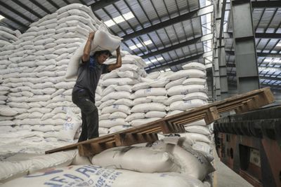 January rice export volume up 75.2% y/y