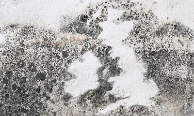 Mouldy Britain: a foolproof guide to rescuing your home from damp