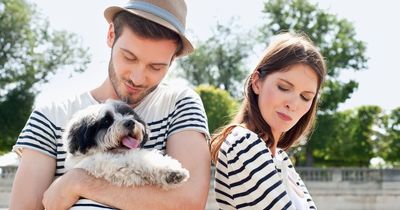 'My girlfriend has to ditch her dogs if she wants to live with me - but mine can stay'