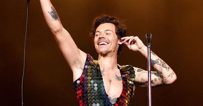 Harry Styles helps couple get engaged during 'beautiful moment' in tour concert