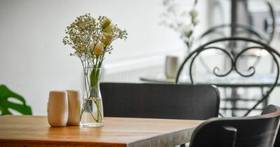 Expert shares renter-friendly ways to transform your kitchen