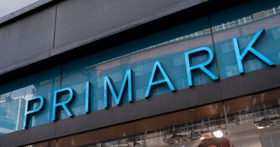 Primark shoppers loving retailer's Dior handbag dupes without the £3400 price tag