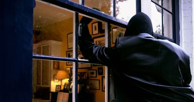 Ex-burglars reveal what they look for when targeting a house