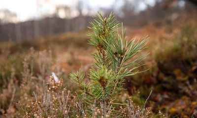 How to protect life on Earth: the importance of biodiversity