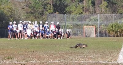 School students get shock of their life as ALLIGATOR crosses sports field while training