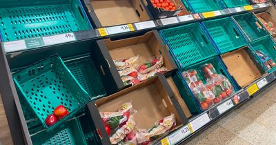 Pizza could be set to get more pricey, as tomato costs hit restaurants in ‘perfect storm’