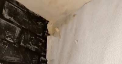 East Belfast man's concern over mouldy apartment ahead of birth of twins