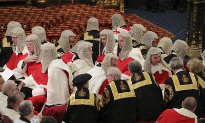 Plan for greater scrutiny of peerages could help to allay concerns over lords’ work rate