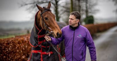 Four Henry de Bromhead horses to watch out for at the Cheltenham Festival