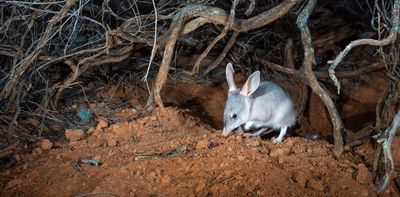 Threatened species recover in fenced safe havens. But their safety is only temporary