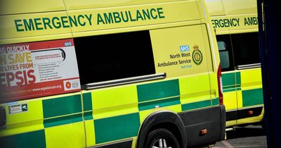 Woman who died from Covid pneumonia waited nine hours for an ambulance after fall at home