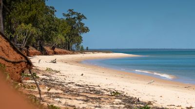 Tiwi Islanders accuse Santos of leaving out Barossa gas project environmental risks from community consultations