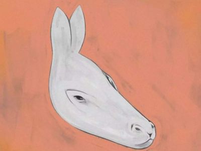 Optical illusion: Spot the TWO animals in 3 seconds