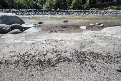 Dam owner guilty in field turf pollution of Washington river
