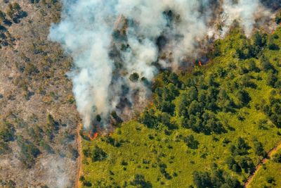 Massive forest fires rage on in eastern Cuba
