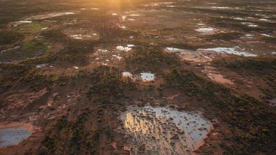 NSW government makes largest-ever national park purchase in state's remote outback