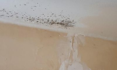 Landlord left rotting rats raining maggots over disabled tenant’s kitchen