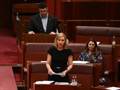 More funding, uniform law needed to fix abortion access