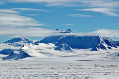 Antarctic sea ice shrinks to record low - researchers