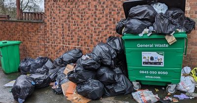 Overflowing bins in Nottingham causing mayhem for pub and nearby residents