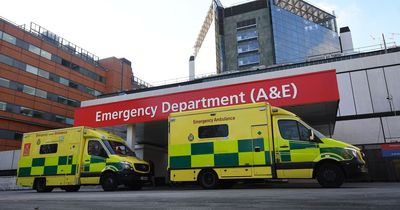 23,000 people died last year because of long waits at A&E, say experts
