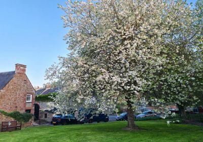 Scotland's oldest continuously inhabited village hails community buyout success