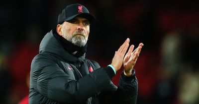 Two former Liverpool stars agree on transfer 'model' Jurgen Klopp needs to follow amid growing rumours