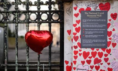 UK Covid inquiry urged to consider structural racism in every part of investigation