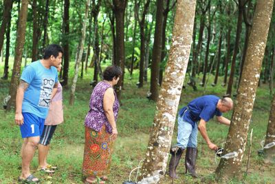 Cabinet okays B7.6bn for rubber price guarantees