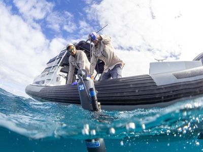 Pledge for national plan to splash out on ocean health