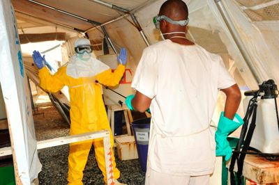 Death toll in E. Guinea Marburg outbreak rises to 11