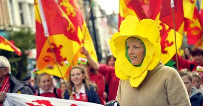 Should St David's Day become a bank holiday?