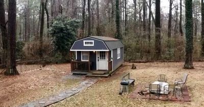 Woman lives completely rent free in 'luxury tiny home' she built in huge back garden
