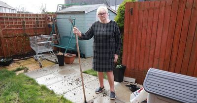 Pigeon poo problem in garden leaves grandma feeling like she 'wants to boak'