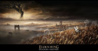 Elden Ring DLC Shadow of the Erdtree officially in development