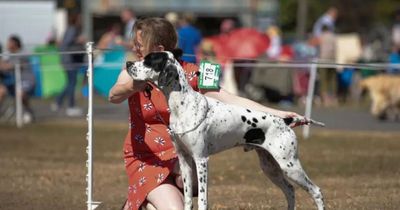 Family legacy fuelling dedicated dog owner's mission at Crufts