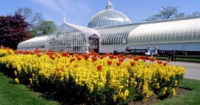 Friends of Botanic Gardens angry after 'no consultation' over Kibble Palace entry charge plans