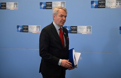 Finland girds for vote on joining NATO despite Sweden delay