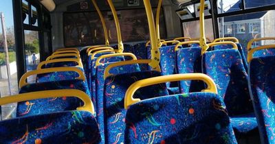 Dublin bus driver says job is a 'horror story' of anti-social behaviour and says services could be cut