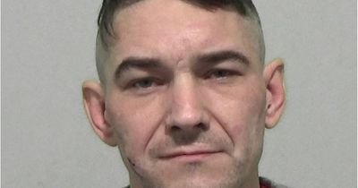 Drunk Byker brute repeatedly headbutted and punched girlfriend in her home