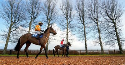 Newsboy's horse racing tips for four meetings on Wednesday, including Wincanton Nap