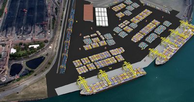 IPART appointed to determine price for Newcastle to remove container terminal shackles