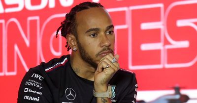 Lewis Hamilton and rivals urged to boycott races as MPs accuse F1 of 'sportswashing'