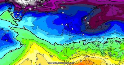 Dublin weather: Beast from the East latest as Met Eireann warns of cold snap with risk of 'impactful' warnings